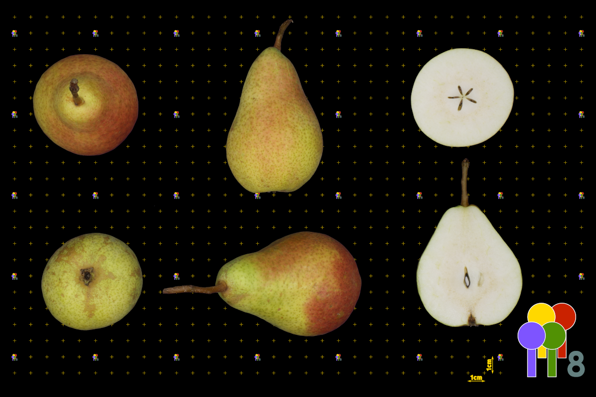 plaatje niet gevonden