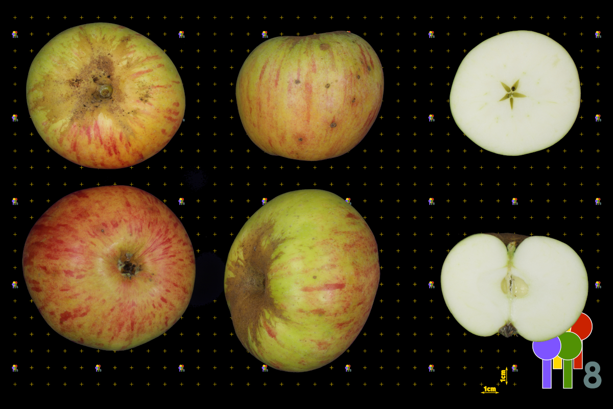 plaatje niet gevonden