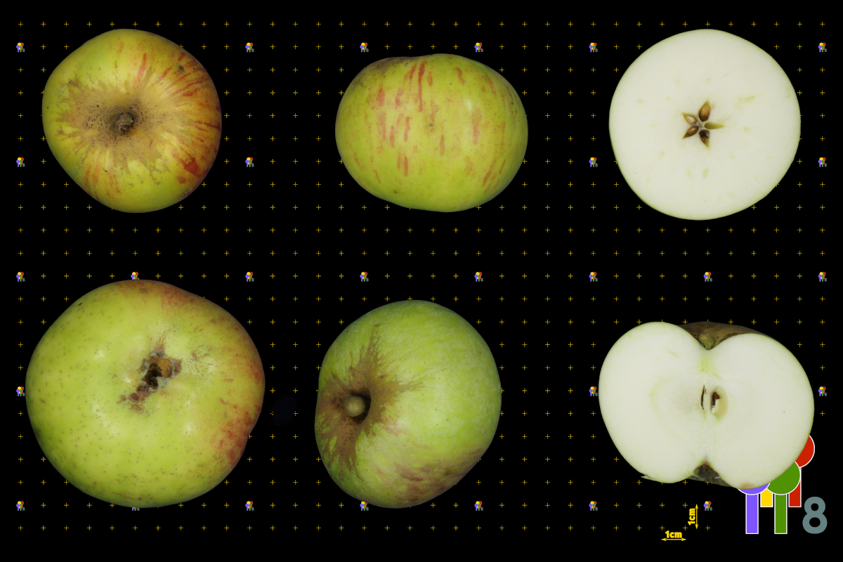 plaatje niet gevonden