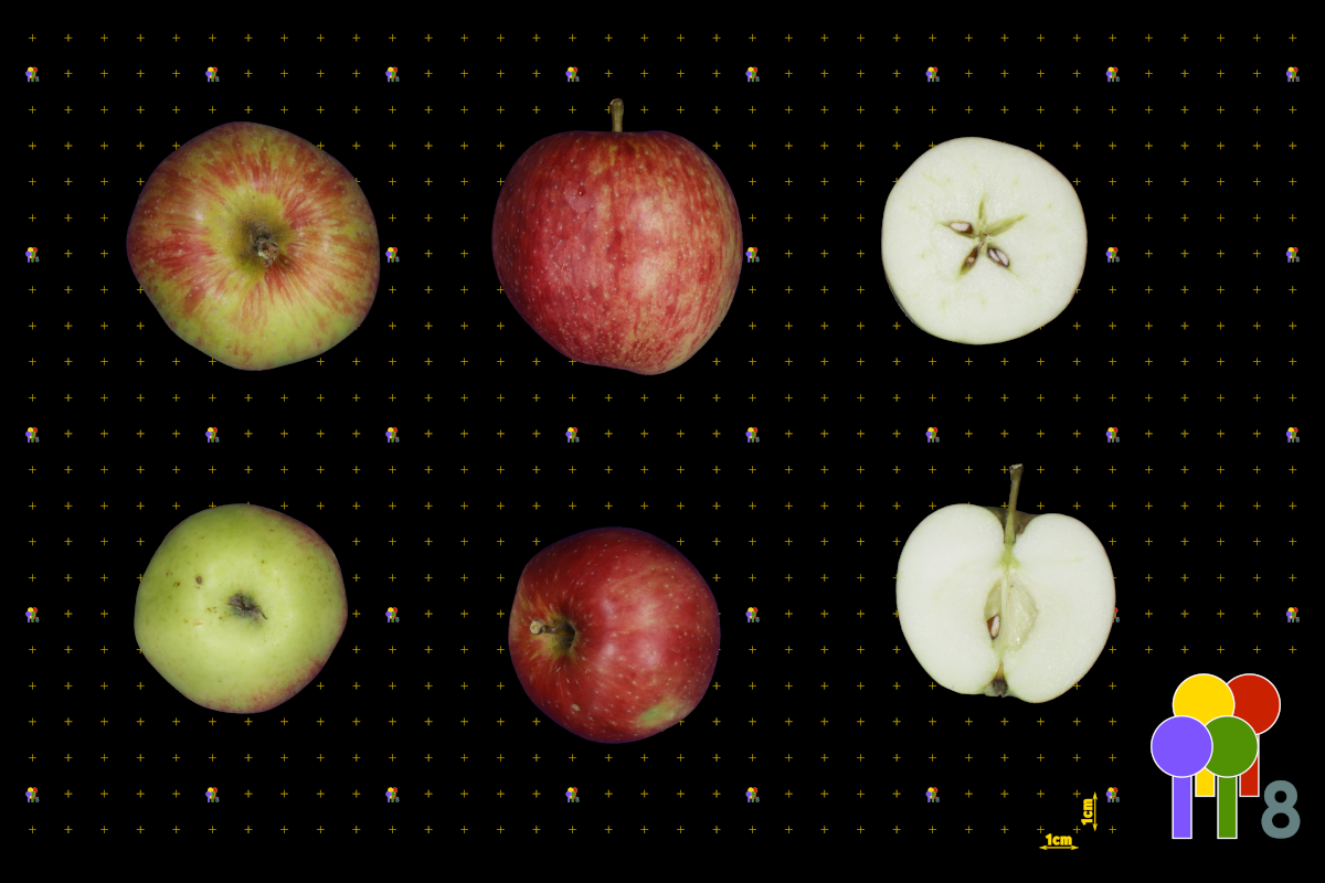 plaatje niet gevonden