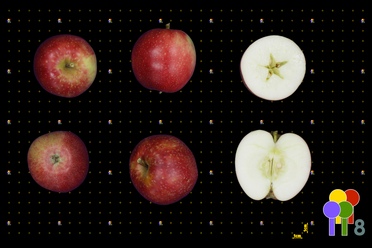 plaatje niet gevonden