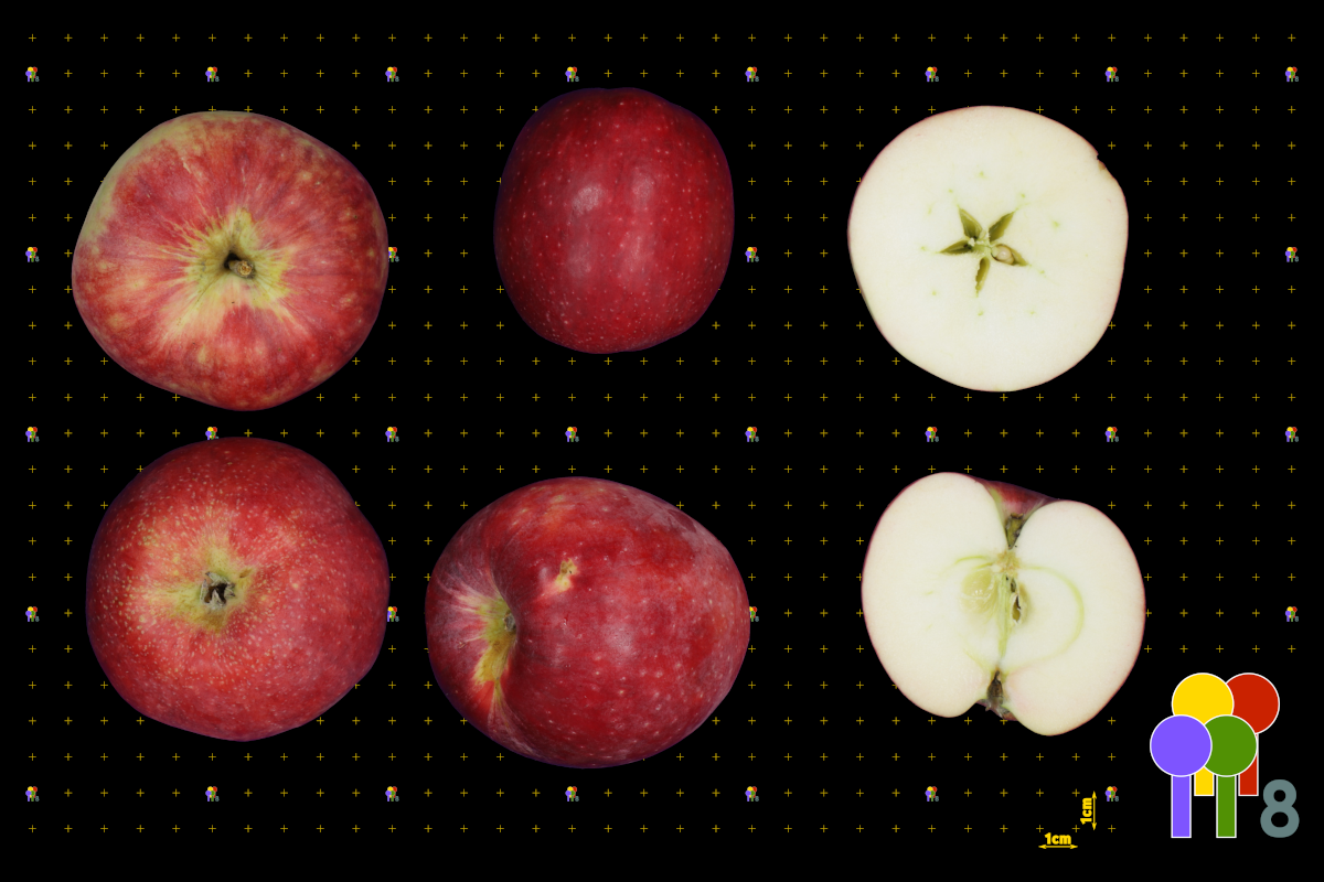 plaatje niet gevonden