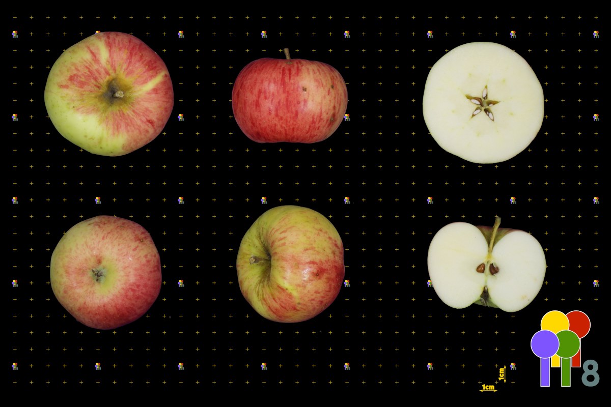 plaatje niet gevonden